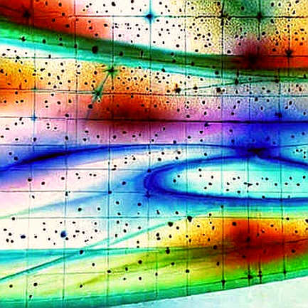 The Dogecoin Bounce: On-Chain Data Reveals a Fragile Floor